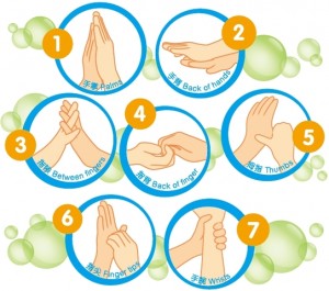 7 Steps of hand washing